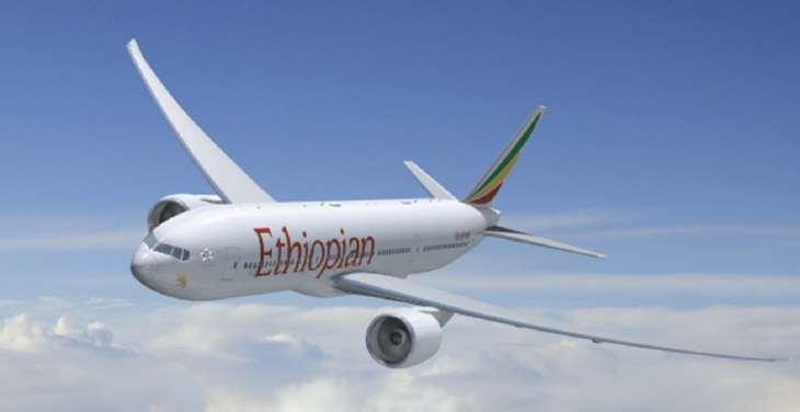 Ethiopian Airlines pilots fall asleep on flight, miss landing