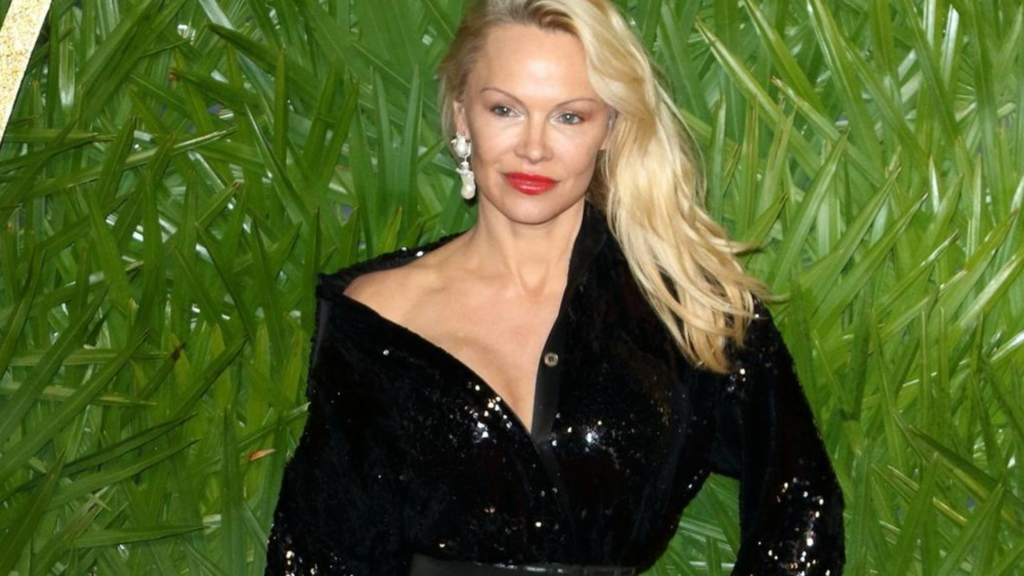 Pamela Anderson Net Worth 2022 - Everything You Should Know