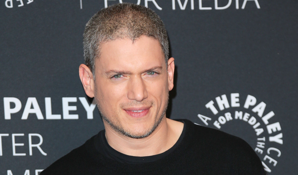 Wentworth Miller Net Worth 2022 .