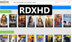 Everything you need to know about RDXHD, the Latest Bollywood Torrent Film Site